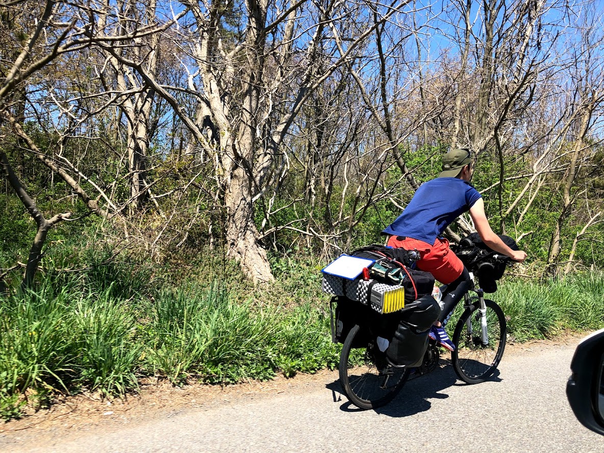 ロードバイクに名前をつける ドラクエ