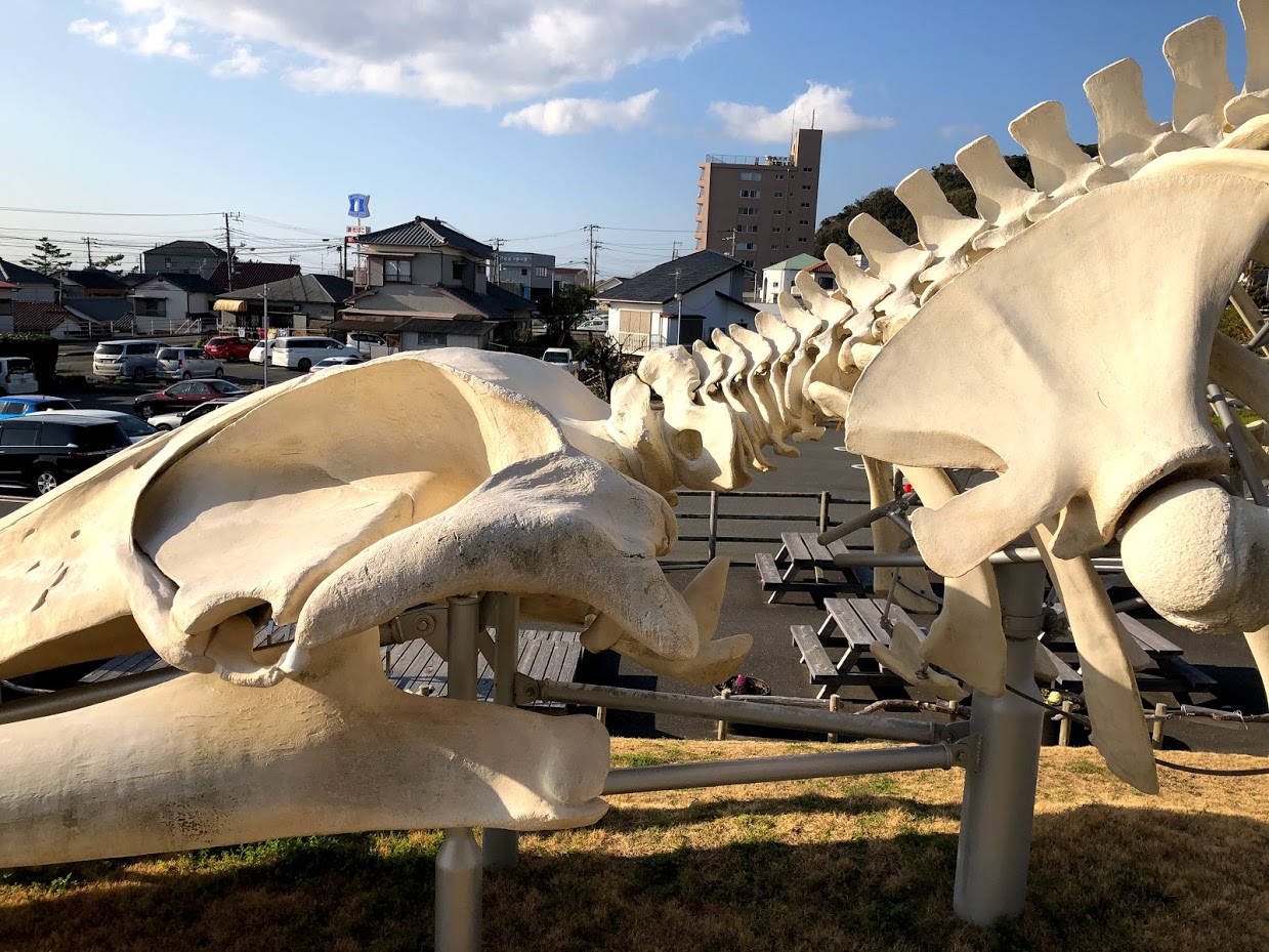 クジラの肉 うまい ドラクエ